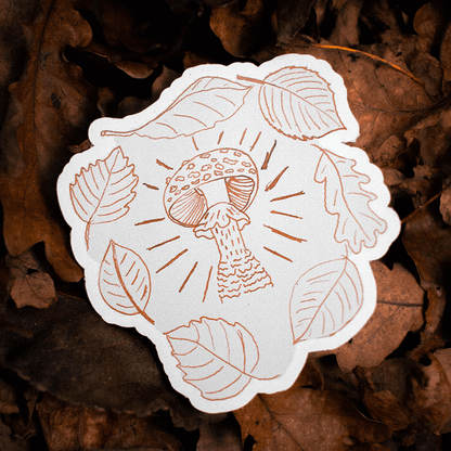 Matte sticker with a hand-drawn mushroom and leaf illustration photographed outdoors on autumn leaves
